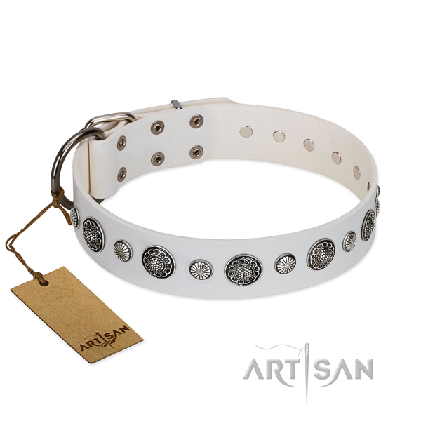 Durable Full grain natural leather dog collar with rust-proof fittings
