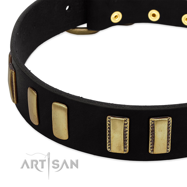 Full grain leather dog collar with corrosion proof fittings for daily walking