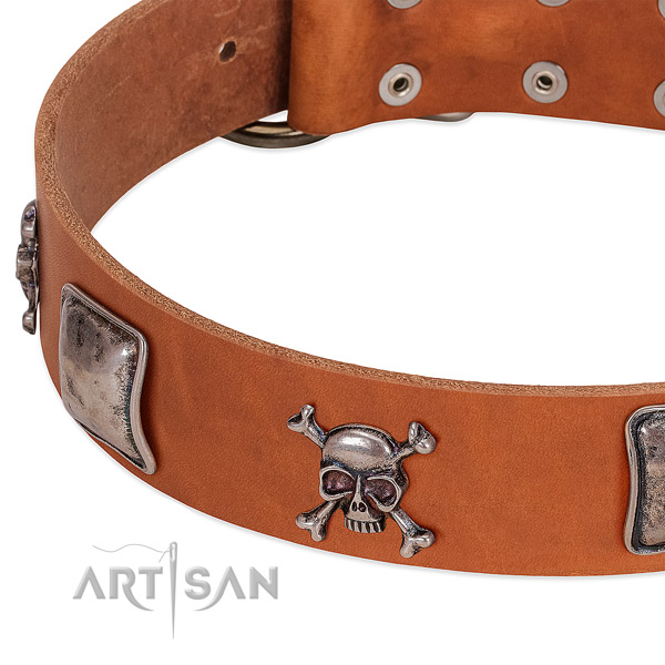 Reliable adornments on full grain natural leather dog collar