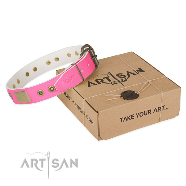 Reliable hardware on dog collar for comfy wearing