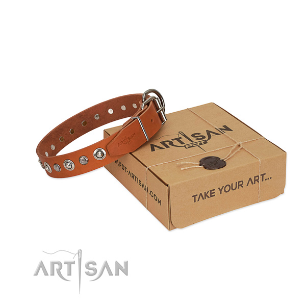 Top notch genuine leather dog collar with impressive adornments