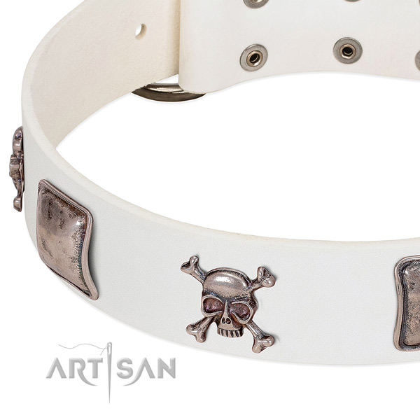 Rust resistant fittings on leather dog collar