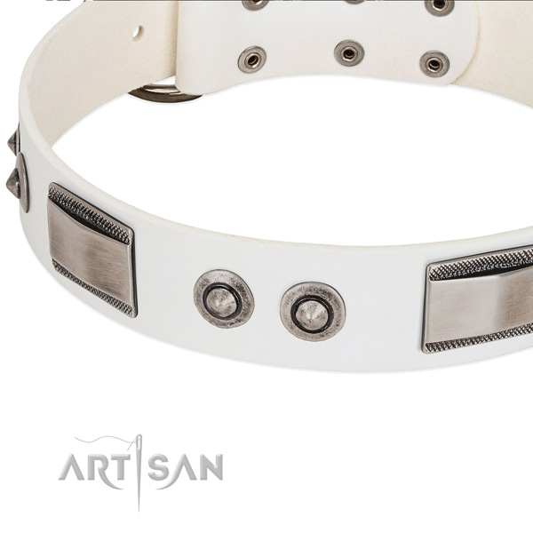 Unusual dog collar of genuine leather with decorations
