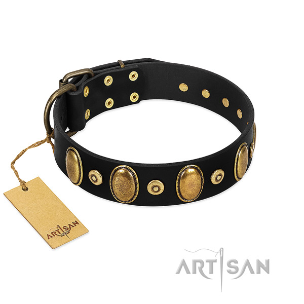 Rust resistant D-ring on dog collar for stylish walking