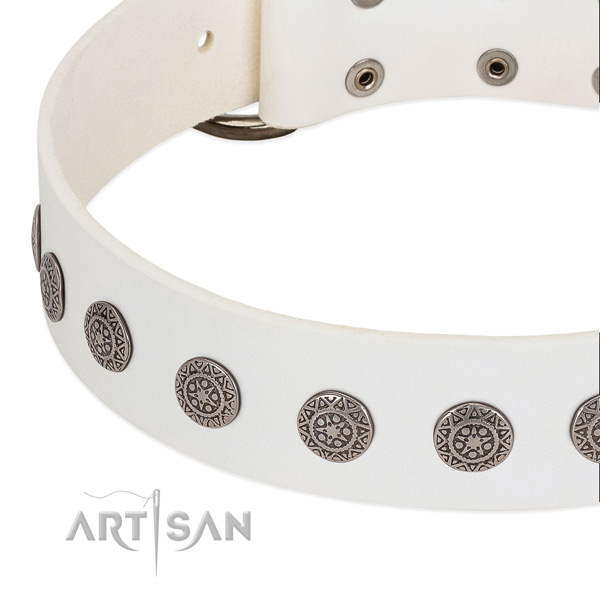 Designer full grain genuine leather collar with adornments for your four-legged friend