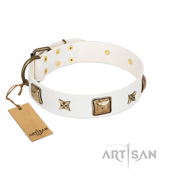 Awesome leather collar for your pet