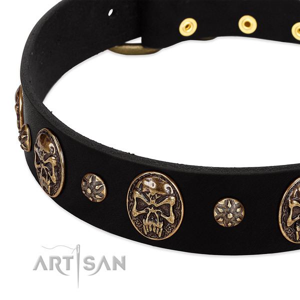 Strong D-ring on leather dog collar for your four-legged friend