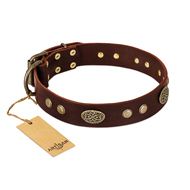 "Old-fashioned Glamor" FDT Artisan Brown Leather Doberman Collar with Old Bronze Look Plates and Circles "Old-fashioned Glamor" FDT Artisan Brown Leather Doberman Collar with Old Bronze Look Plates and Circles