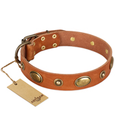 "Visual Magic" FDT Artisan Tan Leather Doberman Collar for Daily Activities "Visual Magic" FDT Artisan Tan Leather Doberman Collar for Daily Activities