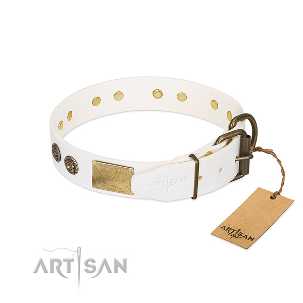 Rust resistant hardware on natural genuine leather collar for fancy walking your doggie