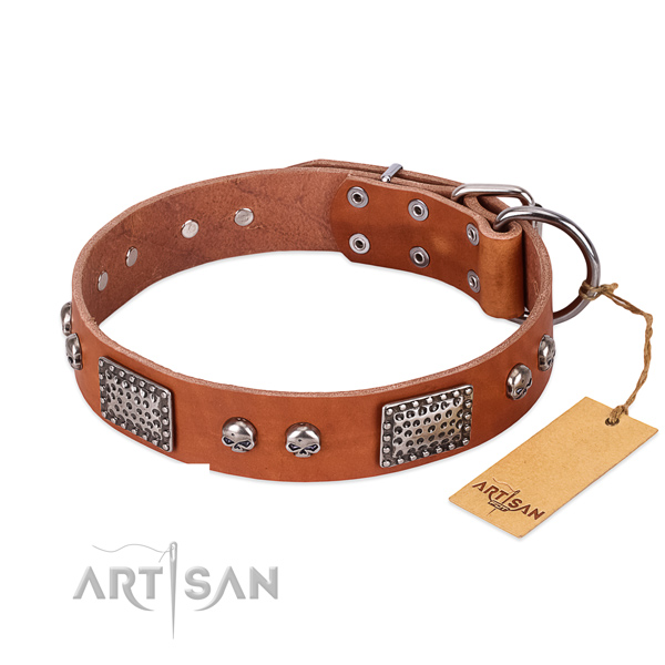 Easy to adjust full grain leather dog collar for daily walking your doggie