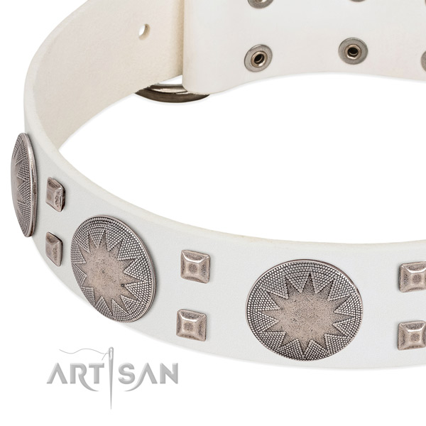 Durable hardware on full grain natural leather collar for stylish walking your pet