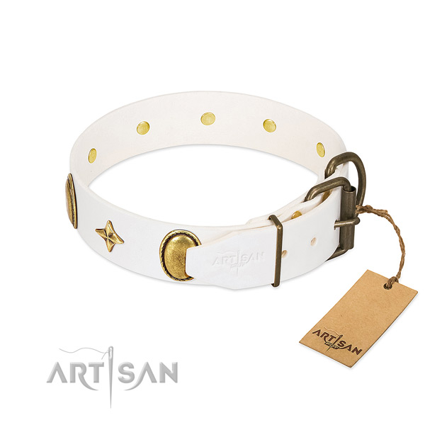Strong leather dog collar with exceptional studs