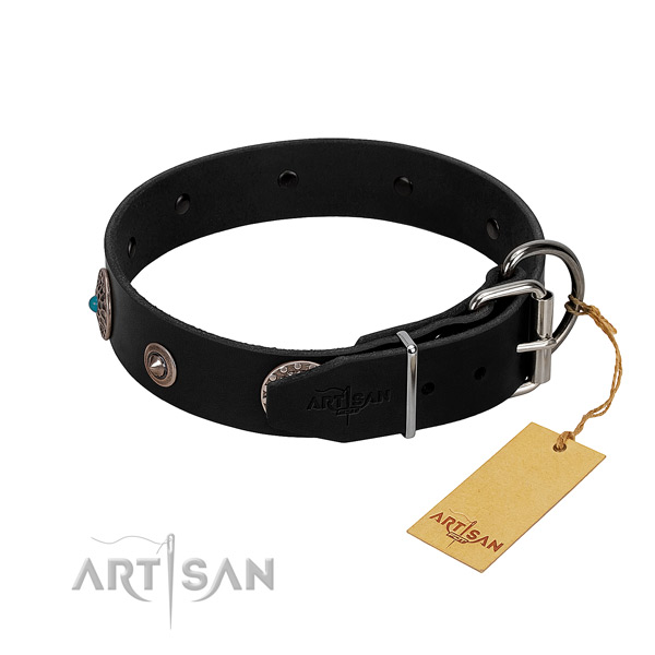 Impressive studded leather dog collar