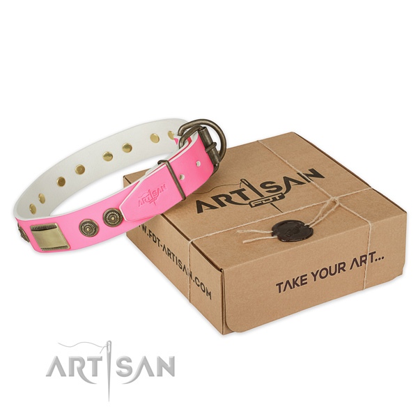 Rust resistant hardware on dog collar for comfortable wearing