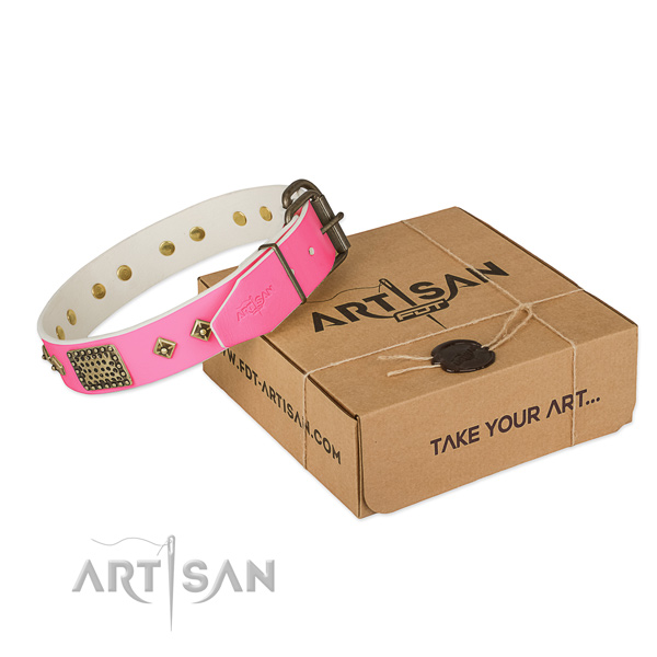 Strong fittings on dog collar for walking