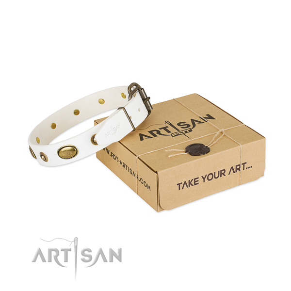 Best quality leather collar for your attractive doggie