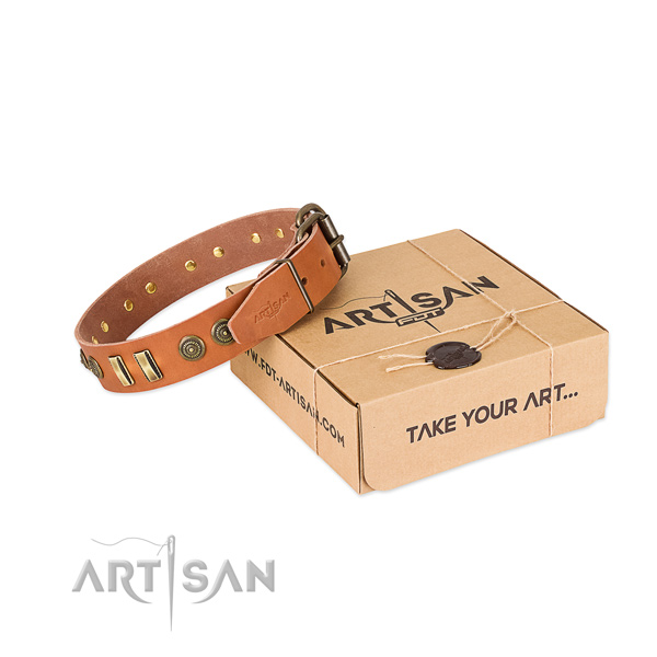 Corrosion resistant adornments on leather dog collar for your four-legged friend