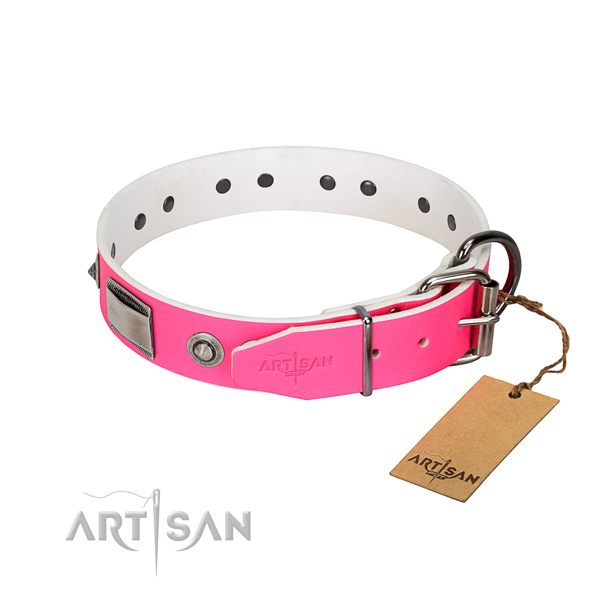Trendy leather collar with studs for your dog