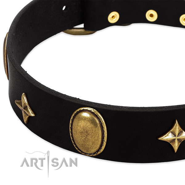 Best quality leather collar with corrosion resistant adornments for your pet