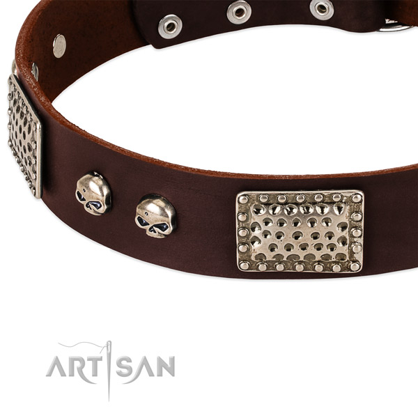Reliable adornments on full grain genuine leather dog collar for your canine