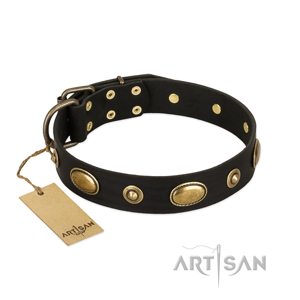 Designer leather collar for your canine