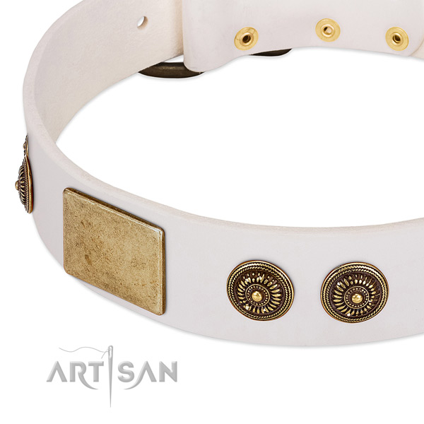 Incredible dog collar made for your stylish doggie