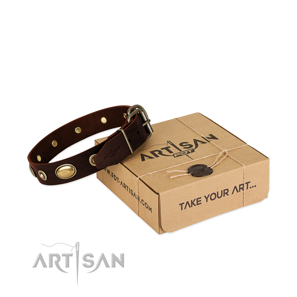 Rust-proof adornments on genuine leather dog collar for your dog