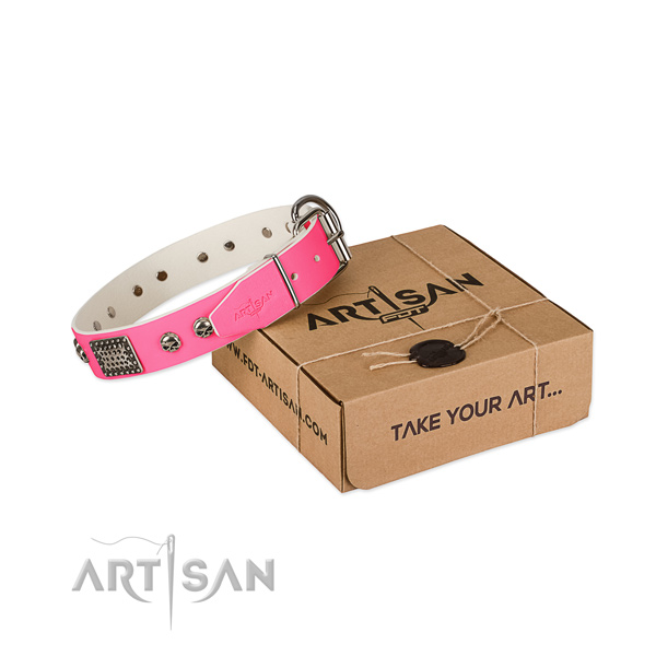 Rust resistant studs on dog collar for daily walking