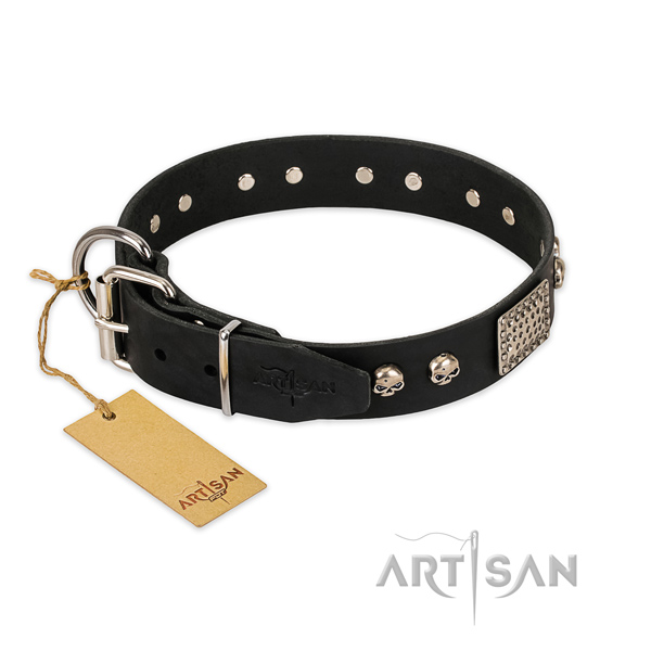 Rust-proof buckle on basic training dog collar