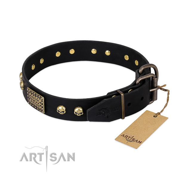 Durable embellishments on basic training dog collar