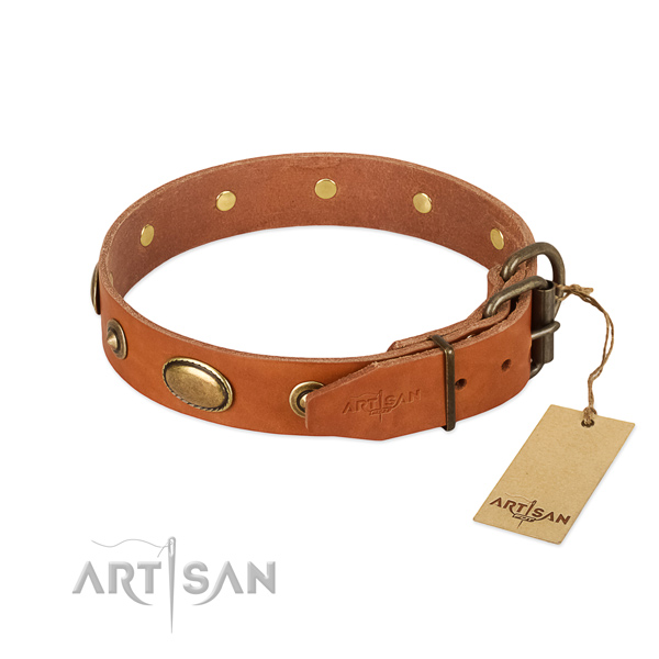 Strong traditional buckle on full grain leather dog collar for your dog