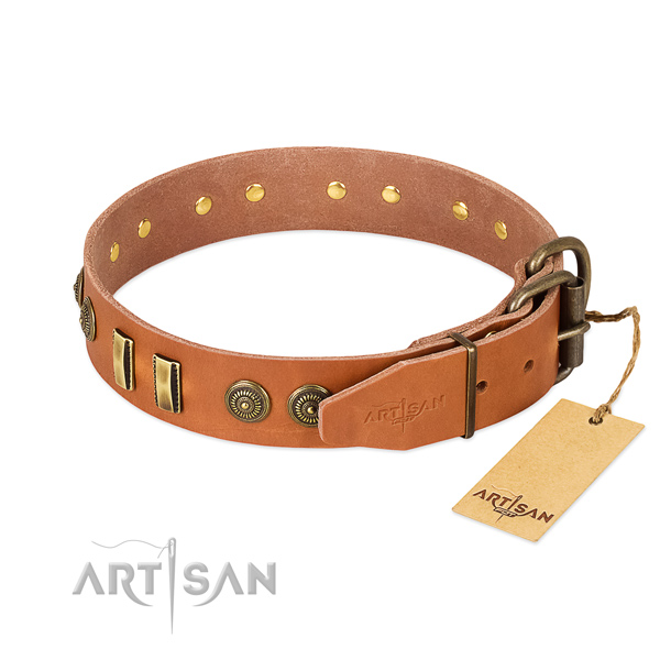 Reliable adornments on leather dog collar for your dog