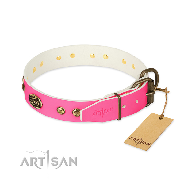 Corrosion proof studs on full grain genuine leather dog collar for your pet