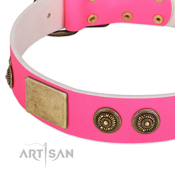 Comfortable dog collar made for your lovely canine