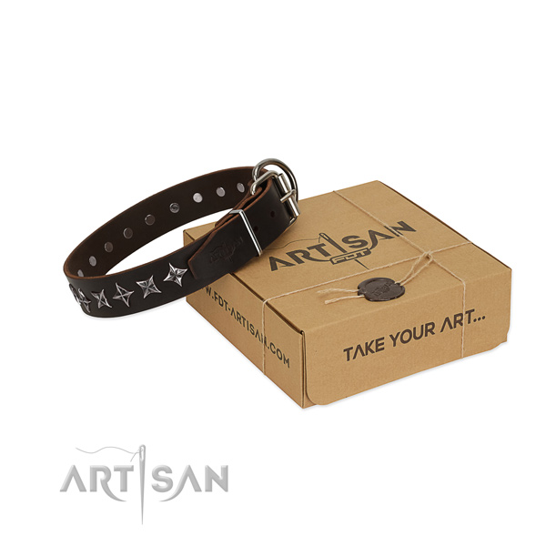 Comfortable wearing dog collar of finest quality full grain genuine leather with adornments