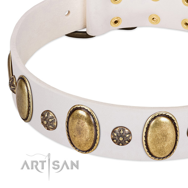 Comfortable wearing best quality full grain natural leather dog collar