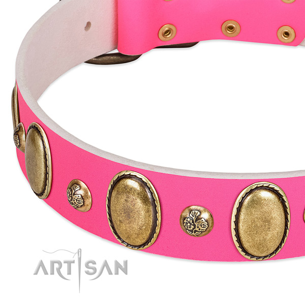 Genuine leather dog collar with unusual studs