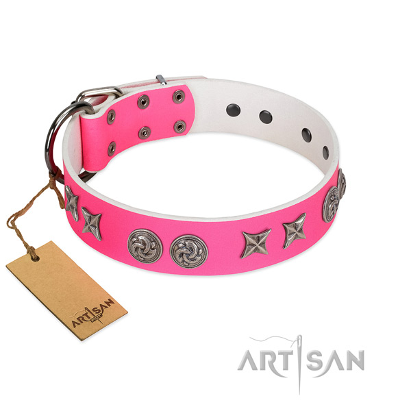 Everyday use dog collar of leather with amazing decorations