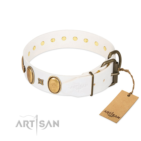 Reliable studs on daily walking dog collar