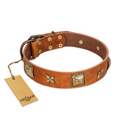 "Celtic Tunes" FDT Artisan Tan Leather Doberman Collar Adorned with Stars and Squares