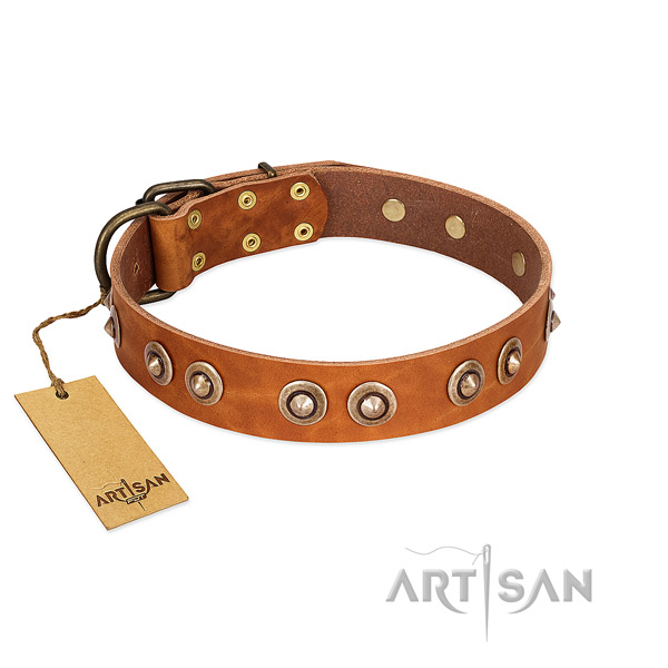 Strong embellishments on full grain natural leather dog collar for your four-legged friend