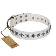 "Midnight Stars" FDT Artisan Fashionable Leather Doberman Collar with Old Silver-like Plated Decorations "Midnight Stars" FDT Artisan Fashionable Leather Doberman Collar with Old Silver-like Plated Decorations