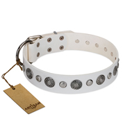 "Fluff-Stuff Beauty" FDT Artisan White Leather Doberman Collar with Silver-like Studs and Conchos "Fluff-Stuff Beauty" FDT Artisan White Leather Doberman Collar with Silver-like Studs and Conchos