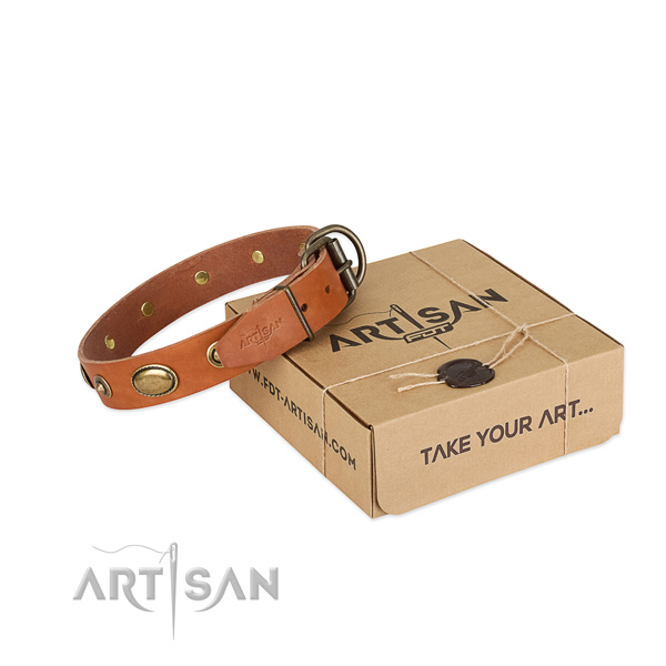 Corrosion proof adornments on leather dog collar for your pet