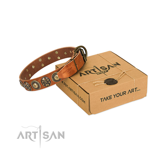 Rust resistant adornments on dog collar for comfortable wearing