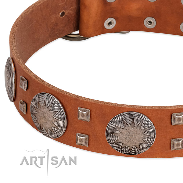 Walking top rate full grain genuine leather dog collar