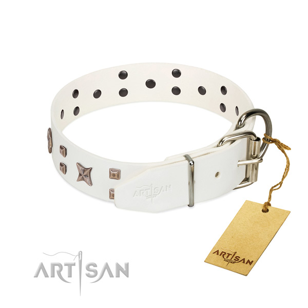Full grain genuine leather dog collar with studs for your stylish doggie