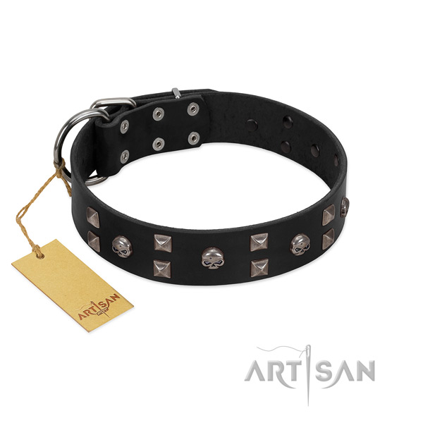 Handy use dog collar of natural leather with inimitable decorations