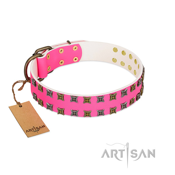 Full grain natural leather collar with unusual embellishments for your dog